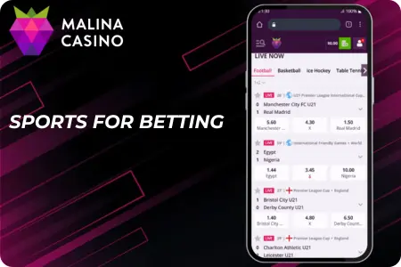 Available Sports for Wagering at Malina Casino